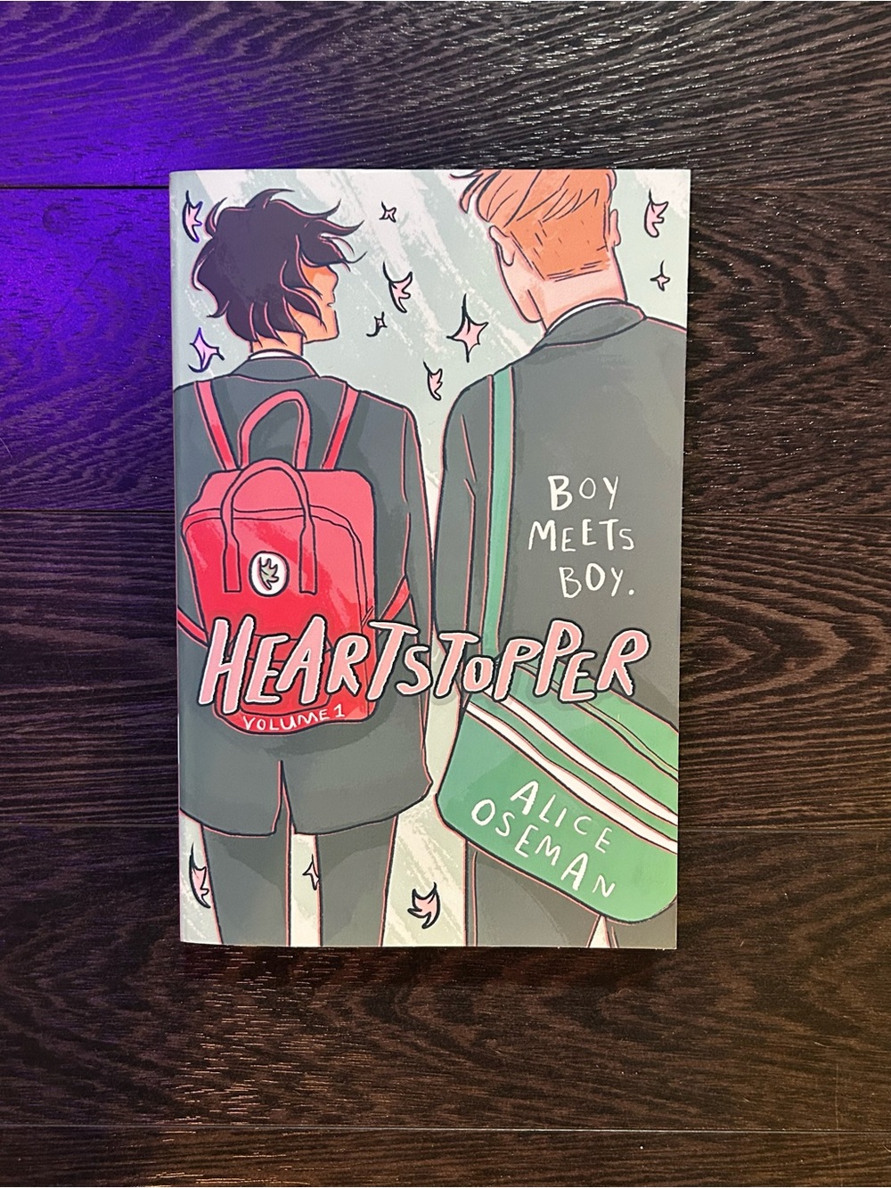 Heartstopper Volume 1 Graphic Novel by Alice Oseman - Excellent Condition
